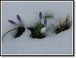 spring-2009-03-07-10-48-38-0001