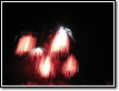 flammende-sterne-2008-08-24-22-42-53-0039
