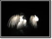 flammende-sterne-2008-08-24-22-48-27-0061
