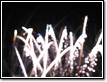 flammende-sterne-2008-08-24-22-49-43-0064
